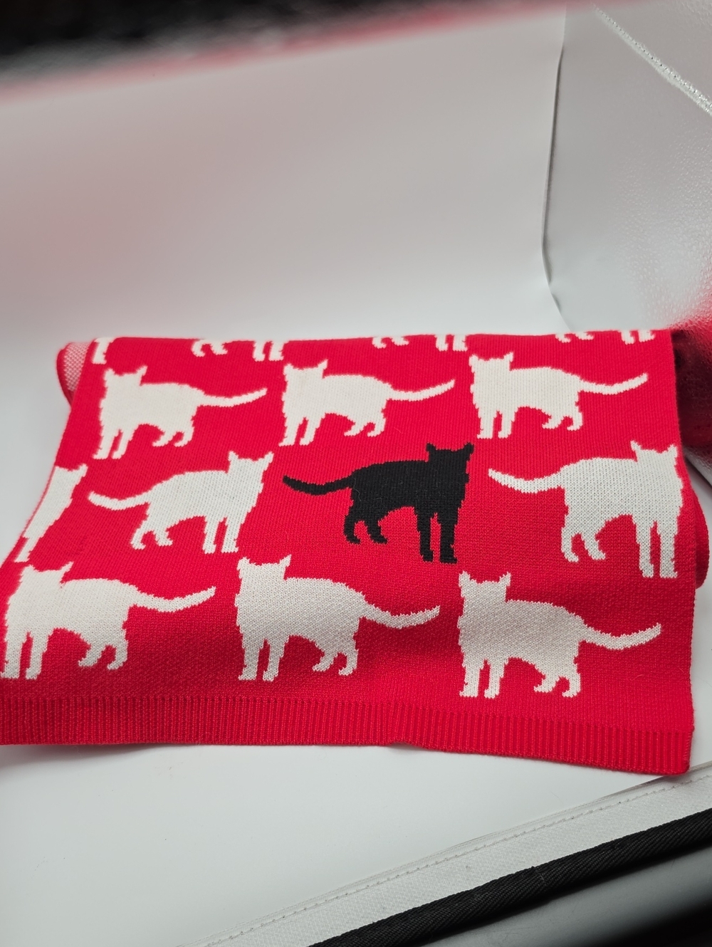 NEW Elana Carello Black Cat Scarf